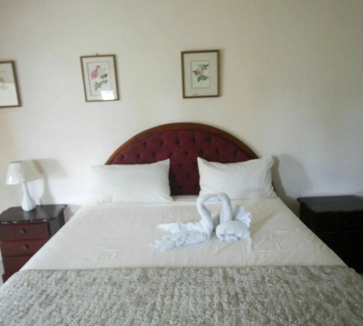 Chateau Margarite Bed And Breakfast Montego Bay 3*,